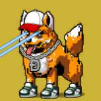 DogePunks #1428