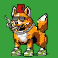DogePunks #3556