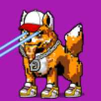 DogePunks #2503