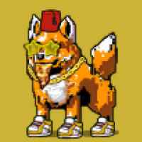 DogePunks #4198