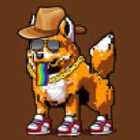 DogePunks #1592
