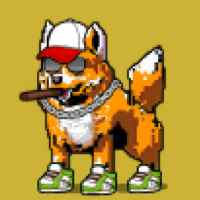 DogePunks #3577