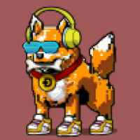 DogePunks #2465