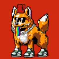 DogePunks #1324