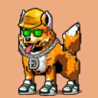 DogePunks #3752