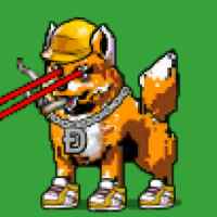 DogePunks #3811