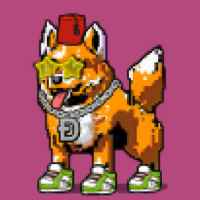 DogePunks #1201