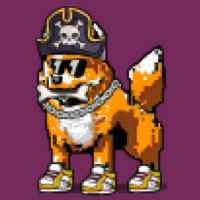 DogePunks #504