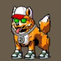DogePunks #2528
