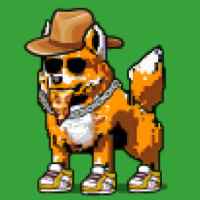 DogePunks #2218
