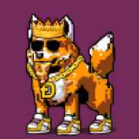 DogePunks #4898