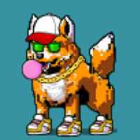 DogePunks #3558