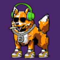 DogePunks #816