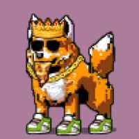 DogePunks #1043