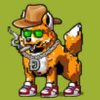 DogePunks #690