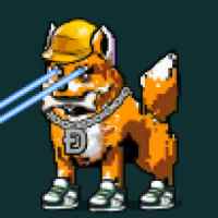 DogePunks #2284