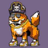 DogePunks #1676