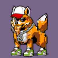 DogePunks #4202
