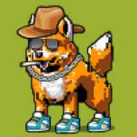 DogePunks #4488