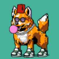 DogePunks #1471