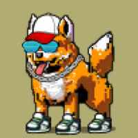 DogePunks #2872