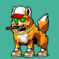 DogePunks #4191