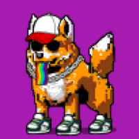 DogePunks #359