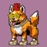 DogePunks #429