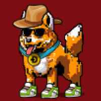 DogePunks #2702