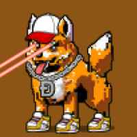 DogePunks #78