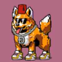 DogePunks #384