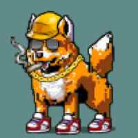 DogePunks #2447
