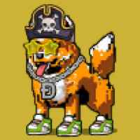 DogePunks #4663
