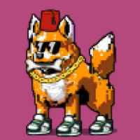 DogePunks #1880