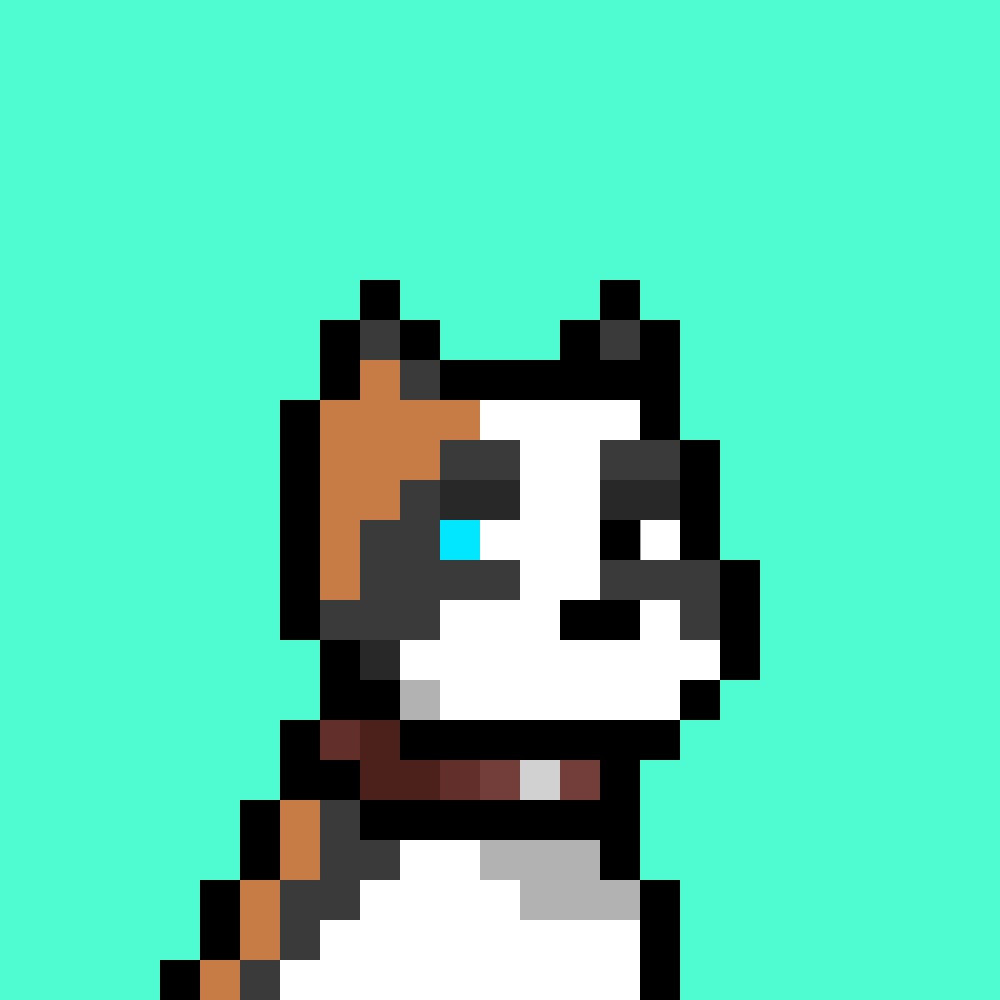 Doginal Dog #1849