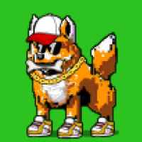 DogePunks #1684