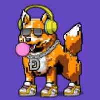 DogePunks #332