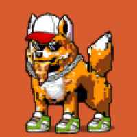 DogePunks #2918