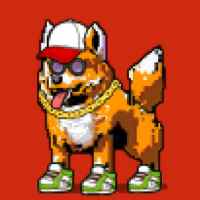 DogePunks #919
