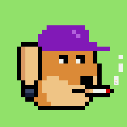 Dogepunk #4629