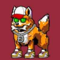 DogePunks #1564