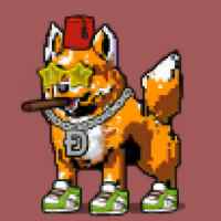 DogePunks #1589