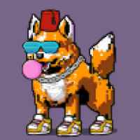 DogePunks #848