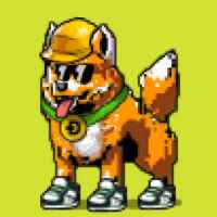 DogePunks #645