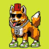 DogePunks #495