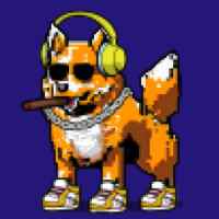 DogePunks #541