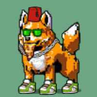 DogePunks #1520