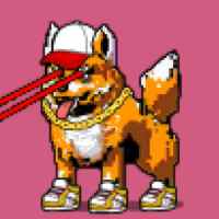 DogePunks #984