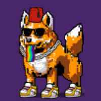 DogePunks #2318