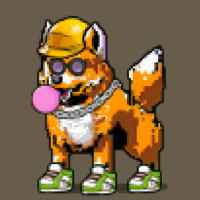 DogePunks #644
